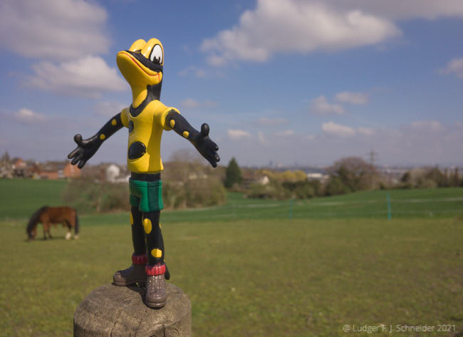 Foto di Salamandrino con cavallo